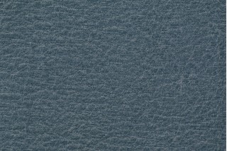 Richloom Fortress Hewlett High Performance Woven Upholstery Fabric in Pond