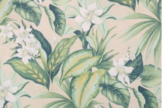 Richloom Solarium Tahiti Printed Polyester Outdoor Fabric in Breeze