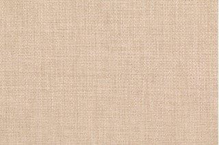 Richloom Rave Woven Polyester Outdoor Fabric in Driftwood