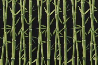 Terrasol-Bamboo Printed Outdoor Fabric in Black 