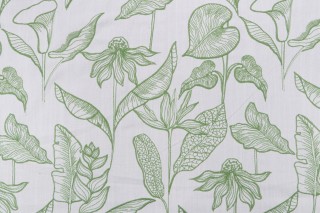 Valiant Fabrics Pretoria Embroidered Drapery Fabric in Kelly 