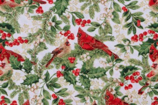 Timeless Treasures Christmas Magic - Cardinals on Branches Printed Cotton Craft Fabric in Cream