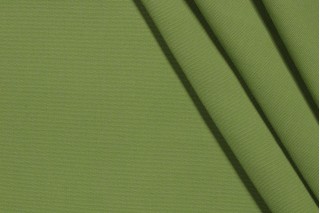 Sunbrella Canvas Woven Solution Dyed Acrylic Outdoor Fabric in Gingko