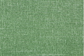 Richloom Tory Printed Polyester Outdoor Fabric in Palm