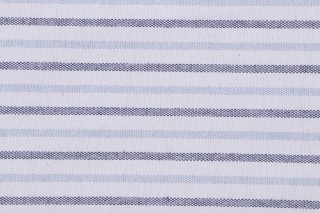 Seaside Woven Polyester Outdoor Fabric in Rain