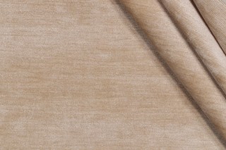 Fratelli Chenille Velvet Upholstery Fabric in Vanilla