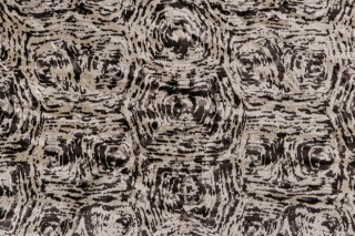 Vargas Velvet Upholstery Fabric in Char