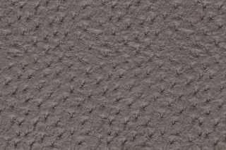 Emu Vinyl Upholstery Fabric in Slate