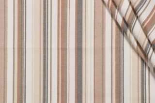 Roth & Tompkins Victoria Woven Decorator Fabric in Sagebrush for Heritage Fabrics 