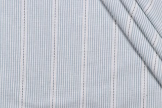 Roth & Tompkins Interchange Woven Decorator Fabric in Cornflower for Heritage Fabrics 