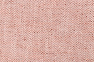 Ragner Woven Upholstery Fabric in Rust