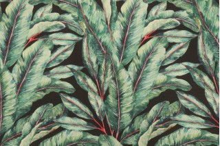 Terrasol - Frond Printed Acrylic Outdoor Fabric in Midnight