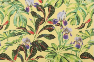 Terrasol - Kaui Printed Acrylic Outdoor Fabric in Pineapple
