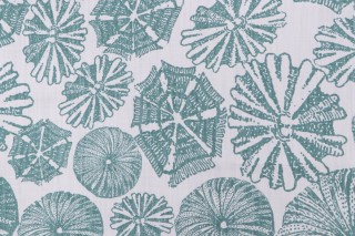 Lacefield Ula Printed Cotton Blend Drapery Fabric in Teal