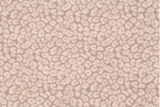 Golding Spots Chenille Upholstery Fabric in Oyster