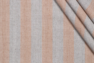 Richloom Omnia Woven Decorator Fabric in Canyon 