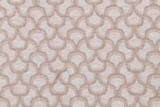 Richloom Solo Woven Upholstery Fabric in Canvas 