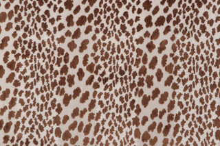 P Kaufmann Meowww Grospoint Velvet Upholstery Fabric in Cocoa 