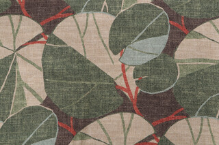 PK Lifestyles Leafy Place Printed Cotton Blend Drapery Fabric in Grasshopper 