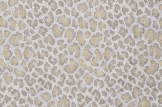 Springs Creative Adi Printed Decorator Fabric in Sand