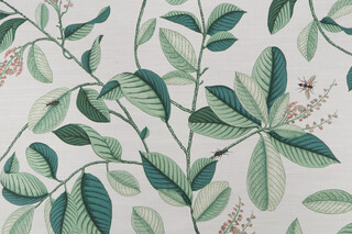P Kaufmann Leaflet Printed Cotton Drapery Fabric in Spruce 