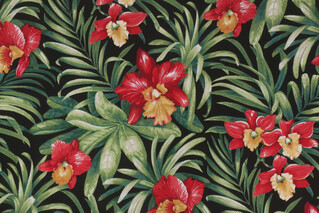 Richloom Turcotte Printed Polyester Outdoor Fabric in Onyx