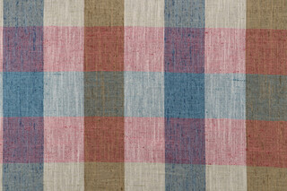 Richloom Edith Woven Decorator Fabric in Garden 