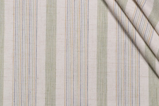 Richloom Ronson Woven Decorator Fabric in Rainforest 