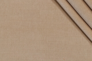 Richloom Nora Velvet Upholstery Fabric in Chamois 