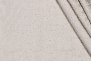 Spotted Grospoint Velvet Upholstery Fabric in Fog