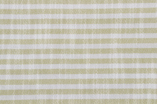 Stripe Woven Decorator Fabric in Sprig