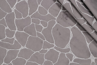 Covington Dare Embroidered Velveteen Decorator Fabric in 9-Graphite 