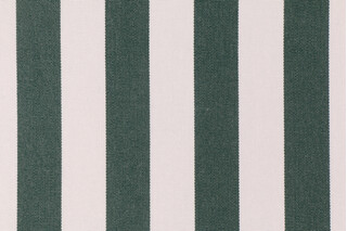 Sunbrella Mason Solution Dyed Acrylic Outdoor Fabric in Forest Green