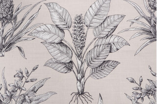 Thibaut Tropical Toile F99805 Printed Drapery Fabric in Black on Taupe