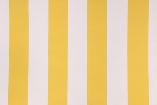 Premier Prints Vertical Printed Polyester Outdoor Fabric in Pineapple