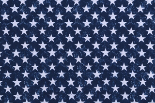 Gail Cadden Let Freedom Ring - USA Patriotic Stars Printed Cotton Craft Fabric in Navy for Timeless Treasures