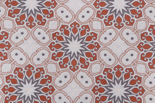 Covington Duster Embroidered Drapery Fabric in Spice