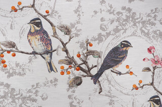 Birdland Printed Drapery Fabric in Opal