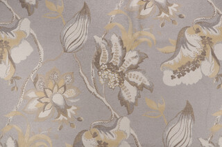 Della Vita Tapestry Upholstery Fabric in Graystone