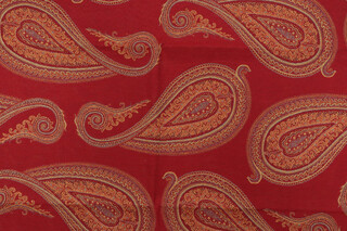 Satvari Woven Upholstery Fabric in Raja