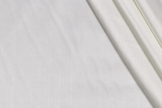 Lustrous Woven Decorator Fabric in Cotton