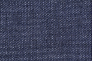 Richloom Rave Woven Polyester Outdoor Fabric in Indigo