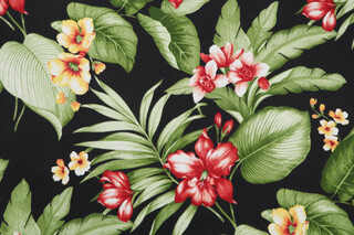 Richloom Davilla Printed Polyester Outdoor Fabric in Noir