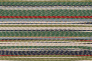 Santee Woven Upholstery Fabric in Sprig
