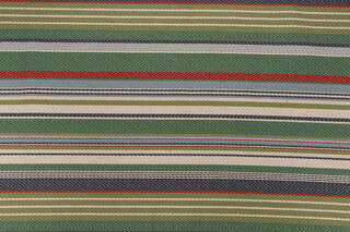 Santee Woven Upholstery Fabric in Sprig