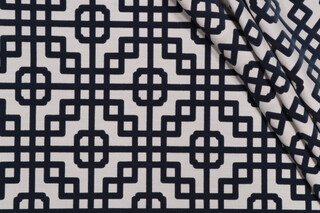 PK Lifestyles Interlacing Flocked Decorator Fabric in Dresden 