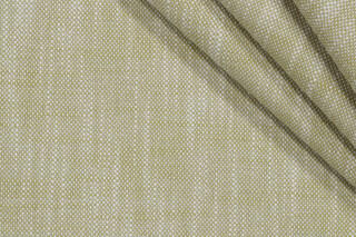 Edie Woven Outdoor Fabric in Apple Green 