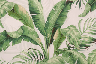 Tommy Bahama Palmiers Printed Polyester Outdoor Fabric in Verde