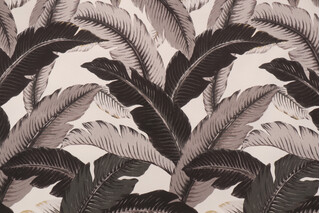 Tommy Bahama Swaying Palms Printed Polyester Outdoor Fabric in Onyx