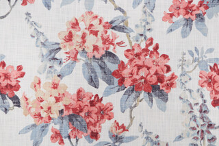 PK Lifestyles Elsa Printed Cotton Drapery Fabric in Indienne